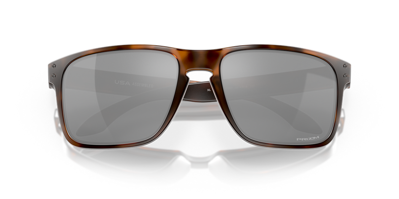 Oakley HOLBROOK XL in Matte Brown Tortoise / Prizm Black (941702) - Alternate View