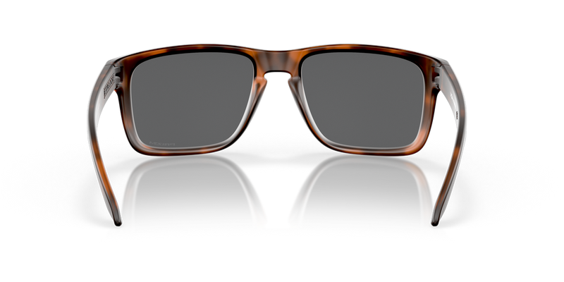 Oakley HOLBROOK XL in Matte Brown Tortoise / Prizm Black (941702) - Alternate View