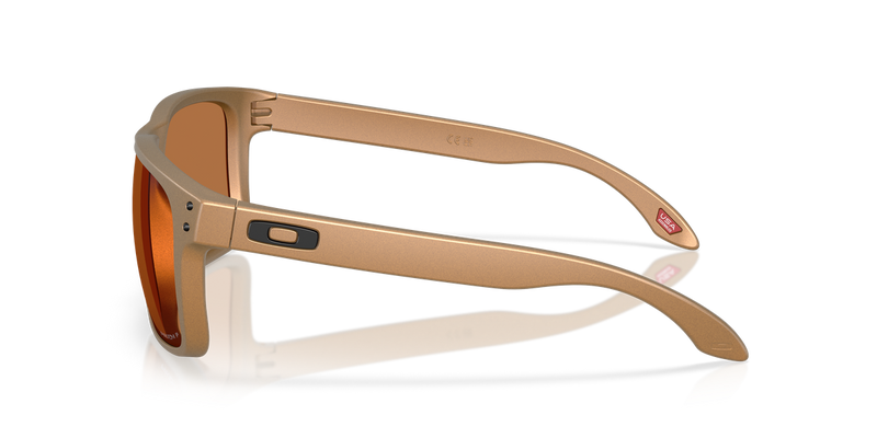 Oakley HOLBROOK XL in Bronze / Prizm Bronze Polarized (941753) - Back View