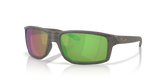 Woodgrain / Prizm Shallow Water Polarized (944926)