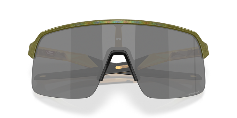 Oakley SUTRO LITE (A) in Fern Spacedust / Prizm Black (946336) - Alternate View