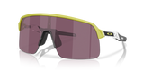 Cactus / Prizm Road Black (946337)
