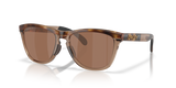 Brown Tortoise/Brown Smoke / Prizm Tungsten Polarized (950303)