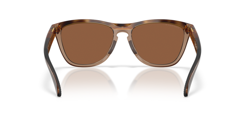 Oakley FROGSKINS RANGE XL A in Brown Tortoise/Brown Smoke / Prizm Tungsten Polarized (950303) - Alternate View