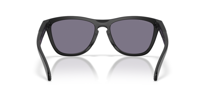 Oakley FROGSKINS RANGE XL A in Matte Black/Black Ink / Prizm Grey (950306) - Alternate View