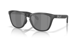 Matte Tortoise Grey Smoke/Matte Black / Prizm Black Polarized (950307)