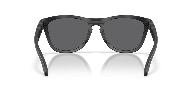 Oakley FROGSKINS RANGE XL A in Matte Tortoise Grey Smoke/Matte Black / Prizm Black Polarized (950307) - Alternate View