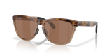 Brown Tortoise/Brown Smoke / Prizm Tungsten Polarized (950302)