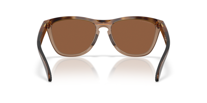 Oakley FROGSKINS RANGE XL in Brown Tortoise/Brown Smoke / Prizm Tungsten Polarized (950302) - Alternate View