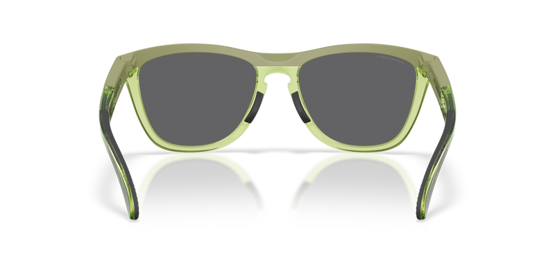 Oakley FROGSKINS RANGE XL in Matte Fern/Transparent Fern / Prizm Black (950307) - Alternate View
