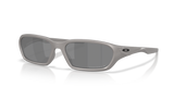 Titanium / Prizm Black Polarized (953005)