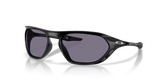 Matte Black / Prizm Grey (953701)
