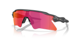 Matte Carbon / Prizm Field (954106)