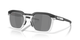 Matte Black / Prizm Black Polarized (955505)
