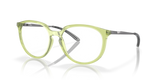 Polished Transparent Fern / Demo Lens (815006)