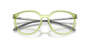 Polished Transparent Fern / Demo Lens (815006)