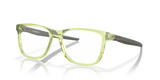 Polished Transparent Fern / Demo Lens (816310)