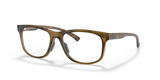 Satin Brown Tortoise / Demo Lens (817502)
