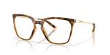 Polished Brown Tortoise / Demo Lens (818904)