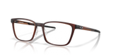 Matte Dark Amber / Demo Lens (820504)
