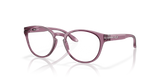 Transparent Indigo / Demo Lens (801705)
