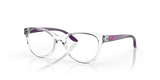 Polished Clear / Demo Lens (802204)