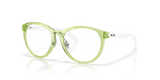 Polished Transparent Fern / Demo Lens (802705)
