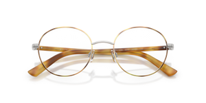 Shiny Silver/Honey Tortoise / Demo Lens (9205)