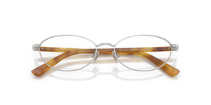 Shiny Silver / Demo Lens (9001)