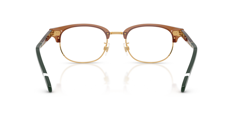 Polo Ralph Lauren PH2298D in Shiny Transparent Brown - Alternate View