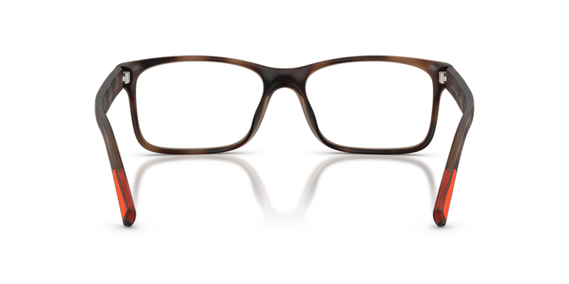 Polo Ralph Lauren PH2301U in Matte Dark Havana - Alternate View