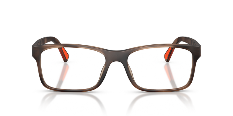 Polo Ralph Lauren PH2301U in Matte Dark Havana - Alternate View