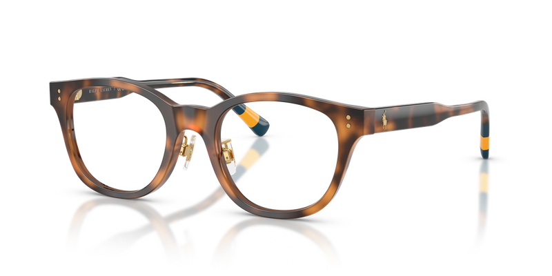 Polo Ralph Lauren PH2303F in Shiny Dark Havana - Alternate View