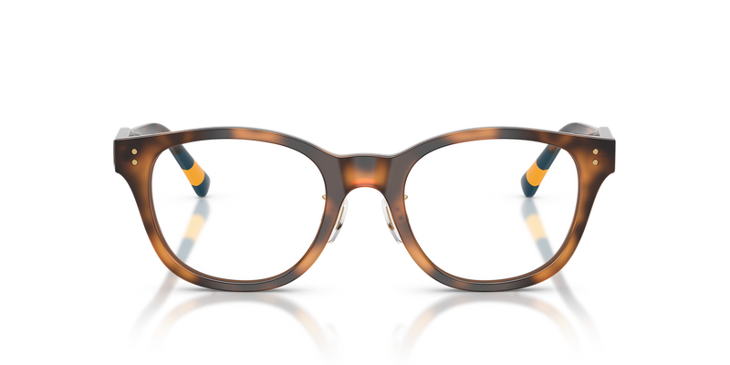 Polo Ralph Lauren PH2303F in Shiny Dark Havana - Alternate View