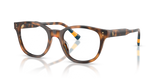 Shiny Havana / Demo Lens (5003)