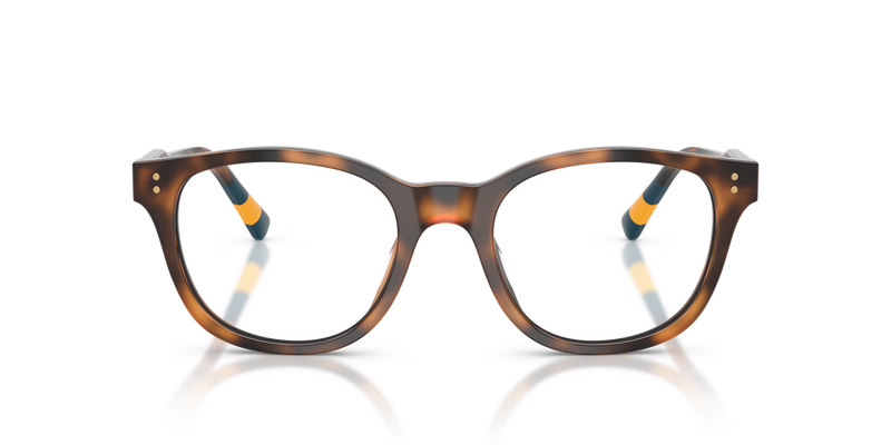 Polo Ralph Lauren PH2303U in Shiny Havana - Alternate View