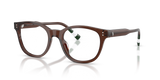 Shiny Transparent Brown / Demo Lens (6315)