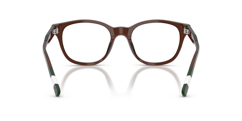 Polo Ralph Lauren PH2303U in Shiny Transparent Brown - Alternate View