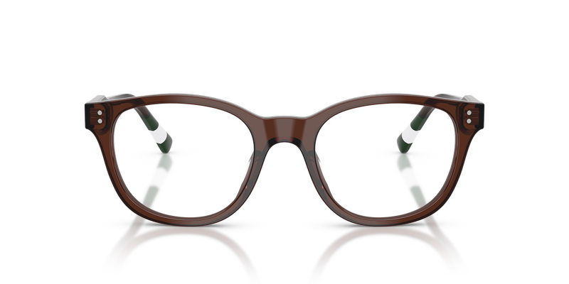 Polo Ralph Lauren PH2303U in Shiny Transparent Brown - Alternate View