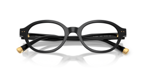 Shiny Black / Demo Lens (5001)