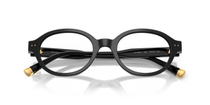 Shiny Black / Demo Lens (5001)