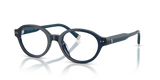 Shiny Transparent Navy Blue / Demo Lens (5955)