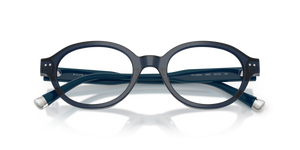 Shiny Transparent Navy Blue / Demo Lens (5955)