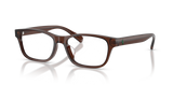 Shiny Transparent Brown / Demo Lens (6282)