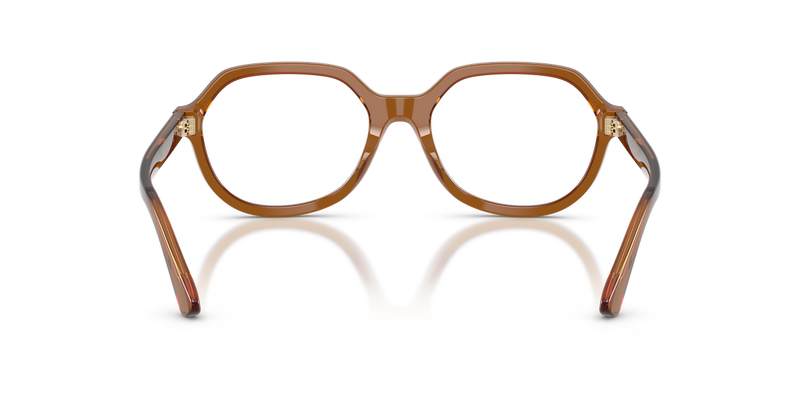 Polo Ralph Lauren PH2310U in Shiny Transparent Brown - Alternate View