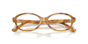 Shiny Honey Tortoise / Demo Lens Recycled (6185)