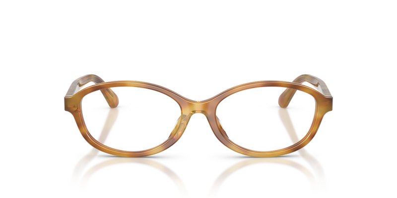 Polo Ralph Lauren PH2311U in Shiny Honey Tortoise - Alternate View