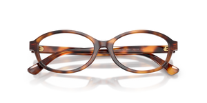 Shiny Tortoise / Demo Lens Recycled (6355)
