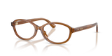 Shiny Transparent Brown / Demo Lens Recycled (6371)