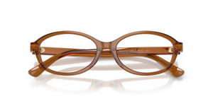 Shiny Transparent Brown / Demo Lens Recycled (6371)